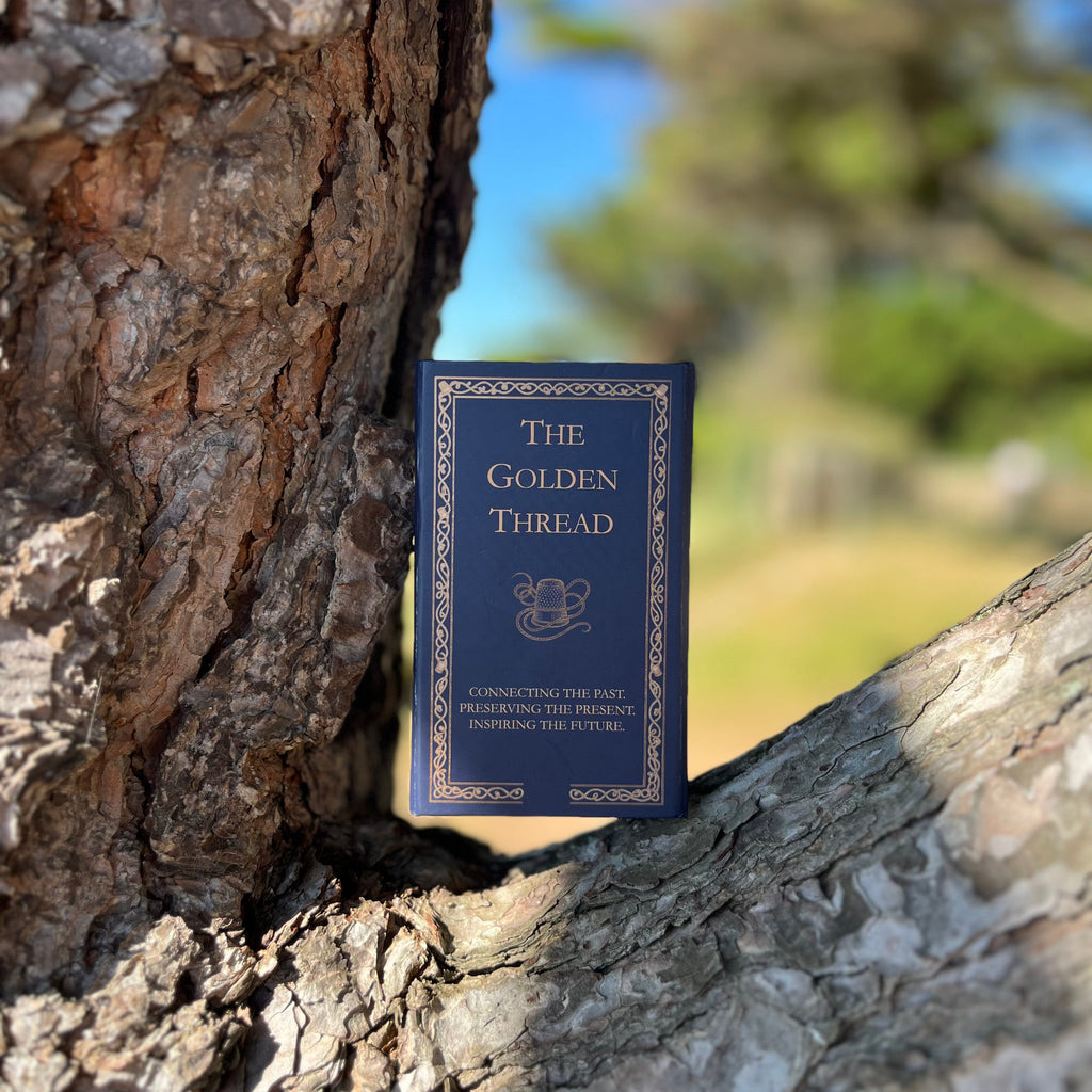 The box of the main deck of the 'The Golden Thread' card game with a dark blue cover and gold lettering, placed on the branch of a tree outdoors with a blurred natural background.